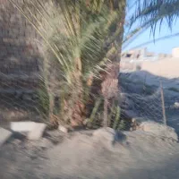 دوقطعه زمین 200متری دزک