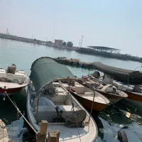 فروش ادوات ماهیگیری|قایق و سایر وسایل نقلیه|بوشهر, |دیوار