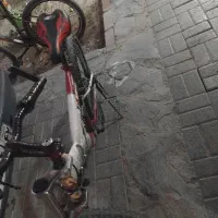 دوچرخه 24 پلیس سند دار