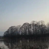 زمین دوران محله