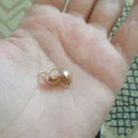 طلا|جواهرات|ایوان, |دیوار