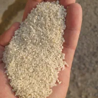 خرید و فروش نیمدانه هاشمی