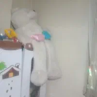 شاسخین برای ولنتاین|اسباب‌بازی بچه|پاکدشت, پاکدشت (مامازند)|دیوار