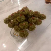 شیرینی مدرن