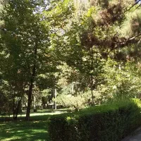 طبیعت گردی وکوه|فعالیت داوطلبانه|تهران, جردن|دیوار