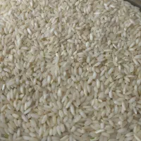 برنج عنبربو شوشتر درجه1 نیم دانه برنج