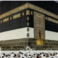 فروش سه عدد عمره مفرده|تور و چارتر|میانه, |دیوار