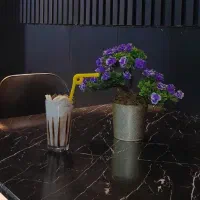 فروش وسایل آبمیوه بستنی