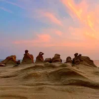 استخدام روانشناس