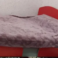 تخت وکمد|تخت و سرویس خواب|بیرجند, |دیوار