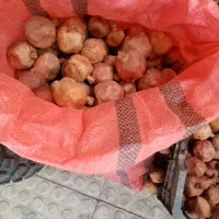 پوست انار خشک شده وانار خشک شده مناسب خوراک دام|خوردنی و آشامیدنی|یزد, |دیوار