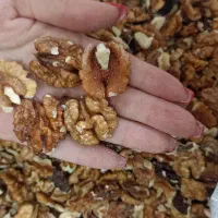 مغزیجات مخصوص کره گیره|خوردنی و آشامیدنی|اصفهان, سعادت‌آباد|دیوار