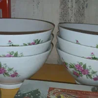 ظروف گلسرخ گل سرخ گلسرخی گل سرخی|ظروف سرو و پذیرایی|قم, باجک دو|دیوار