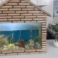 فروش آکواریوم.  سنگ هاش وماهی