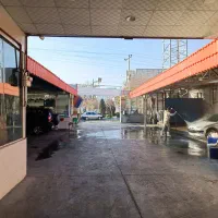 نیرو ماهر کارواش