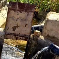 باغ با بنا (انواع درختان میوه بارده )|فروش زمین و ملک کلنگی|اسلامشهر, شهرک احمدیه|دیوار