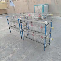 تعدادی قفس بلدرچین.مرغ.قناری.کفتر با ابخوری