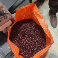 فروش لوبیاقرمز