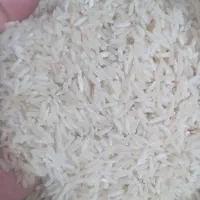 برنج شیروان چرداول