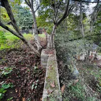 430متر زمین مسکونی با مجوز ساخت دو طبقه|فروش زمین و ملک کلنگی|توتکابن, |دیوار