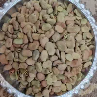 باقلا خشک و درجه یک امسال|خوردنی و آشامیدنی|شیراز, میانرود|دیوار
