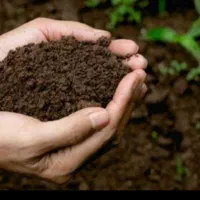 خاک باغچه تضمینی وبا کیفیت