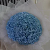 رز ربانی جاودان و باکس پول