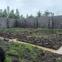 بنایی و نجاری