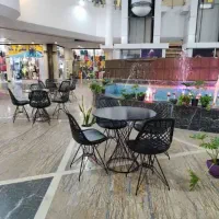 صندلی ویناک مدل کارولین|میز و صندلی غذاخوری|مشهد, کوی المهدی|دیوار