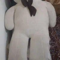 خرس دو متری