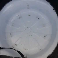 پژوپارس|خودرو سواری و وانت|قره ضیاالدین, |دیوار