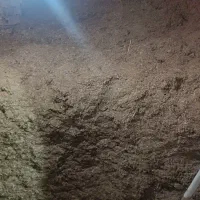 کاه گندم|لوازم جانبی حیوانات|هریس, |دیوار