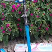 اسکوتر