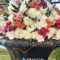 استخدام نیروی گلکار برای گل فروشی وتالار