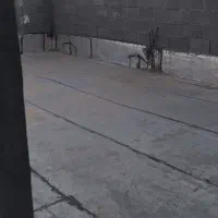 خانه ویلایی برای اجاره|اجارهٔ خانه و ویلا|سیراف, |دیوار