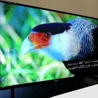 بُست اسنوا LED BOST ۴۰ درحدصفرUSBخورFullHD