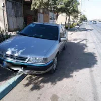 زانتیا خانگی و کم کار