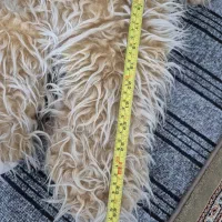 عروسک خرس بزرگ|اسباببازی بچه|تبریز, |دیوار