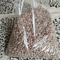 فروش لوبیا چیتی محلی بصورت کلی