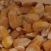 معاوضه گندم و ذرت (کالا با کالا)