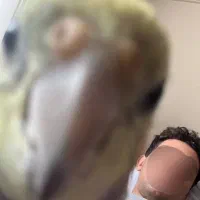 دلم گرفته باز