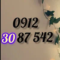 0912-30-87-542