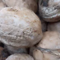 با سلام گردو درجه یک سپیدان