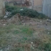 فروش زمین مسکونی در مینودشت خ کمیل ۶