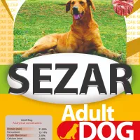 غذای خشک سگ با کیفیت و قیمت مناسب