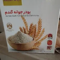 جوانه گندم