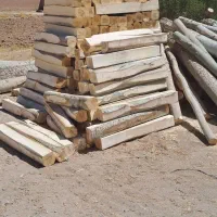 خرید وفروش چوب فروش انواع تخته ایرانی.تخته بنایی|خدمات باغبانی و درختکاری|شهرکرد, |دیوار