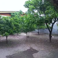 پاشا / قیمت کل /۴۰۰متر ویلا بافت مسکونی