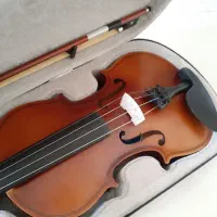 ویولون TF 142 سایز ۴/۴ آکبند
