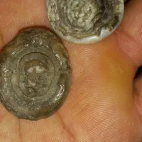 مهره وتسبیح|جواهرات|اهواز, منبع اب|دیوار